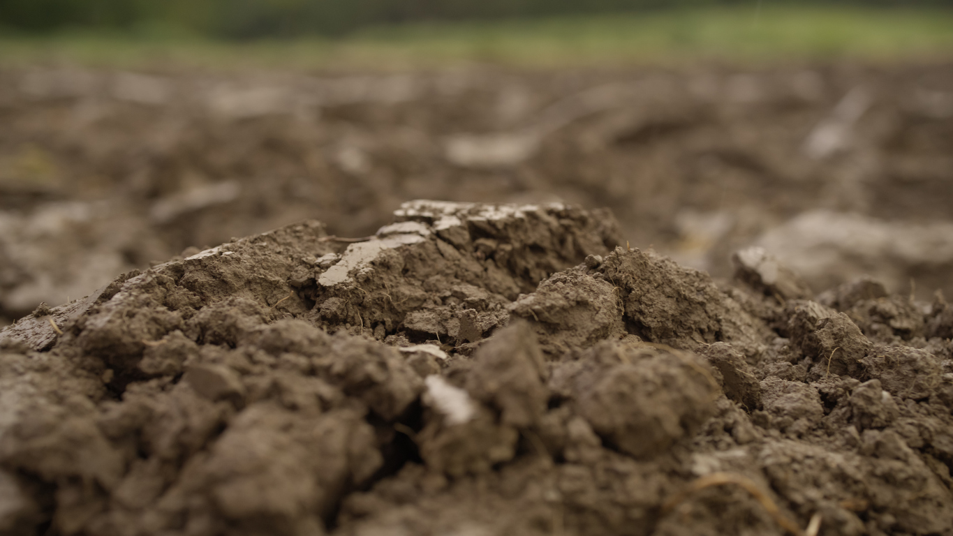 Brown soil for soil testing - Precision Pools, Utah